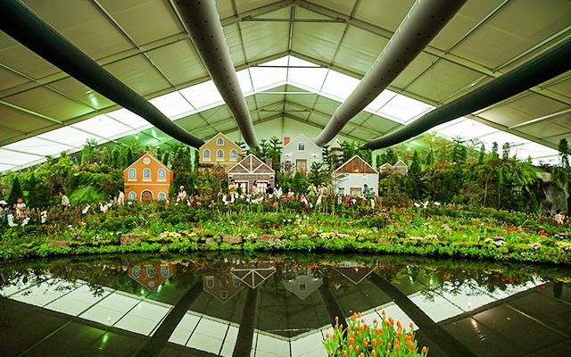 Vídeo sobre a tenda desmontável para exposições de flores
